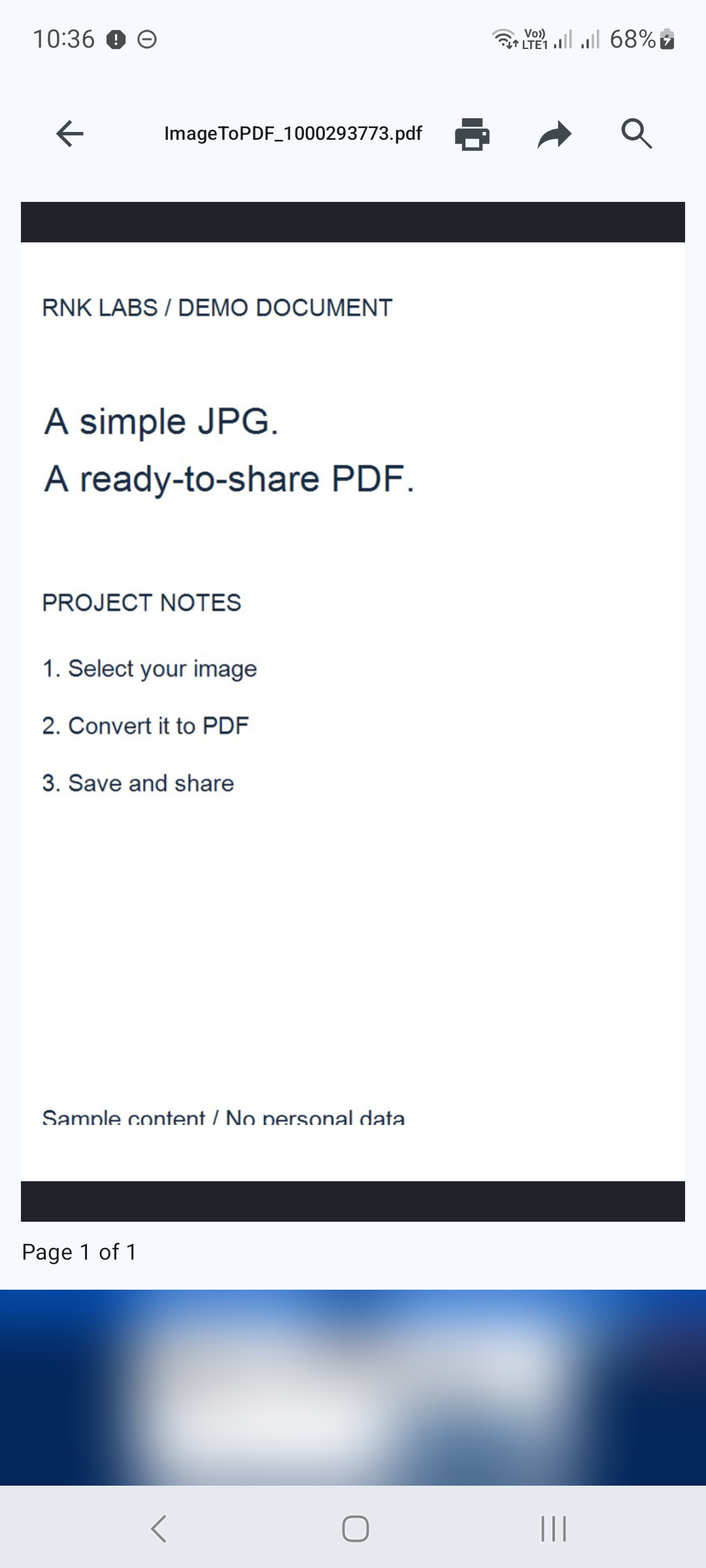 Il JPG convertito è ora un PDF, con controlli di condivisione e stampa nel lettore.
